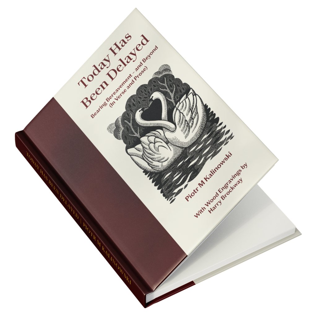 Today has been delayed - Book Mockup